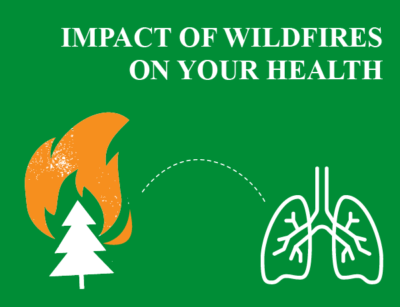 Wildfire Smoke And Your Health - Dynamic Earth Lesson Plans