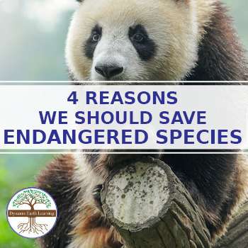 4 Reason to Save Endangered Species – Google Slides Hyperdoc - Dynamic  Earth Lesson Plans
