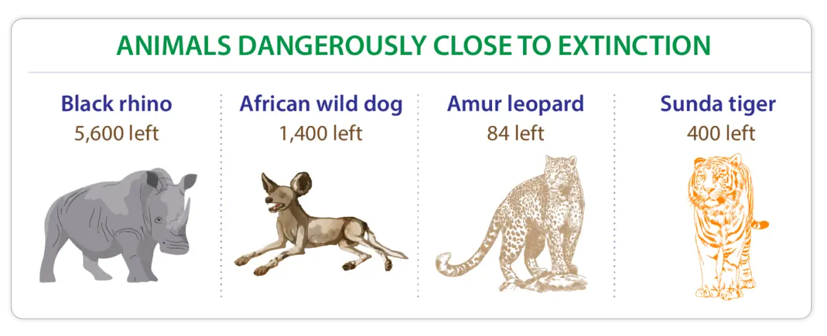 Why Extinction is Bad? - Dynamic Earth Lesson Plans