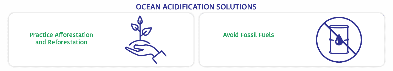 ocean acidification solutions