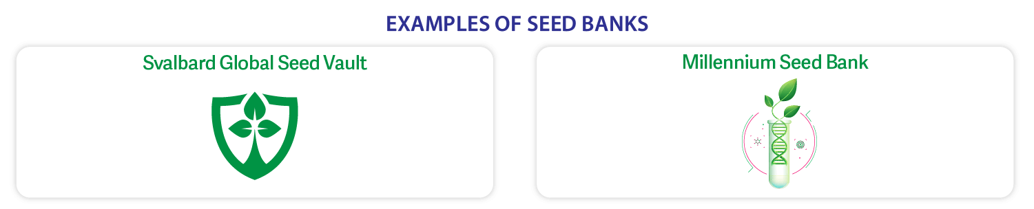 examples of seed banks