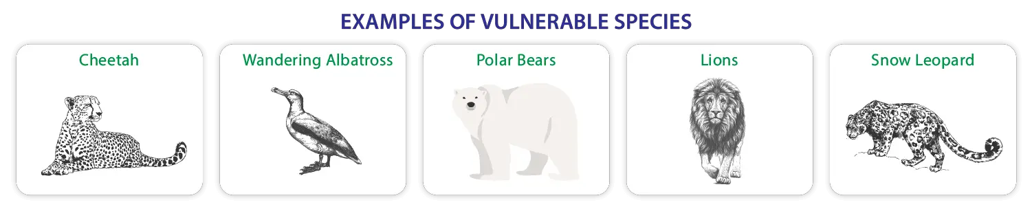 examples of vulnerable species