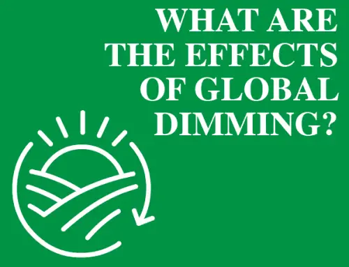 What Are the Effects of Global Dimming