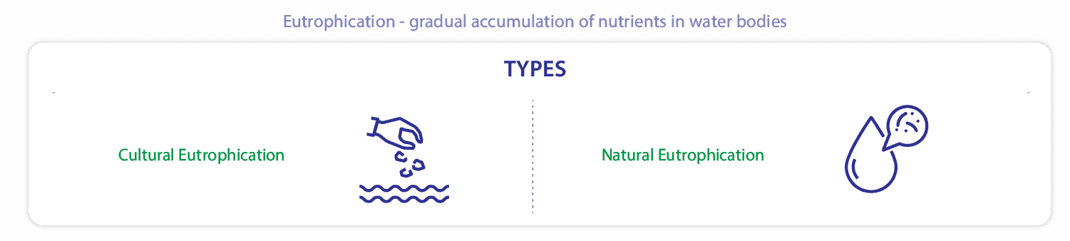 nutrient pollution description