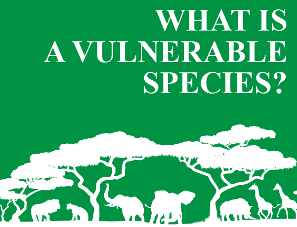 vulnerable species