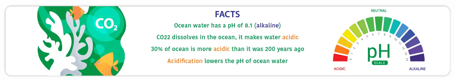 what is the main cause of ocean acidification