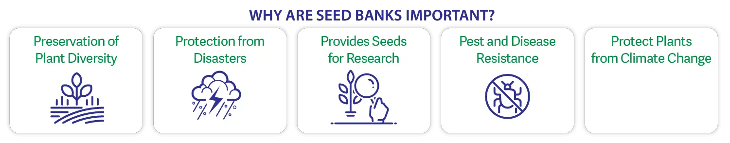 why seed banks are important