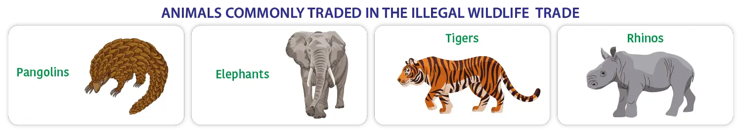 commonly traded animals