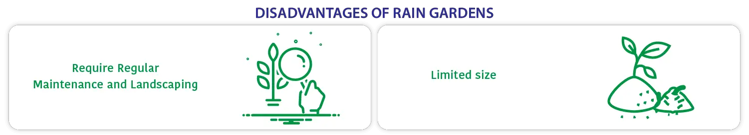 disadvantages of rain gardens