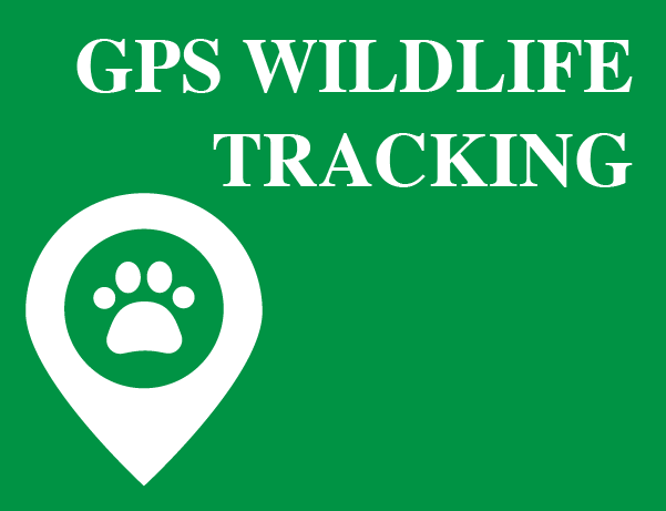 GPs wildlife tracking