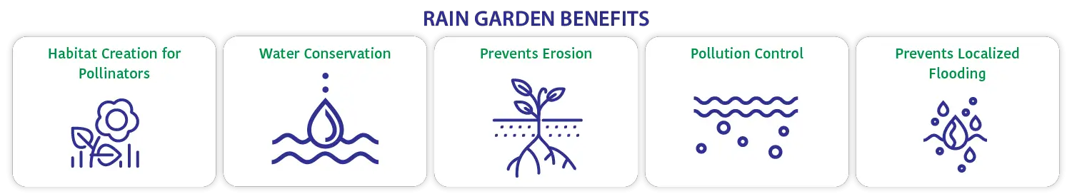 rain garden benefits