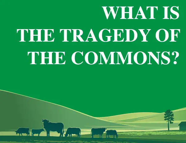 tragedy of the commons hardin