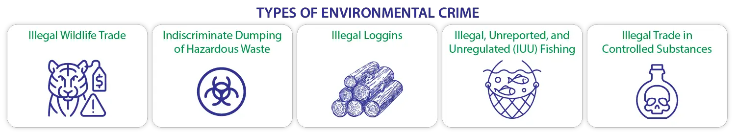 type of environmental crime