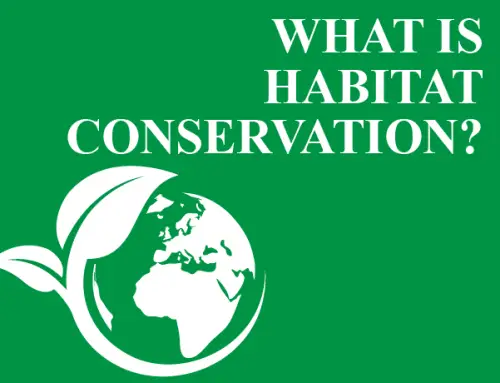 What Is Habitat Conservation