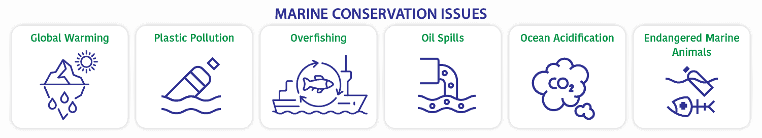 marine conservation issues