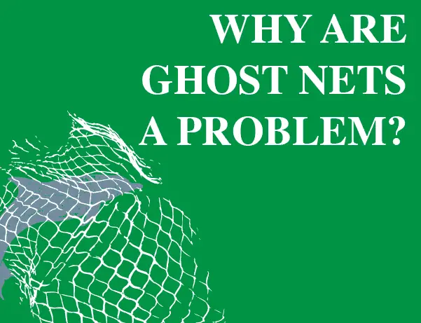 why-are-ghost-nets-made-of