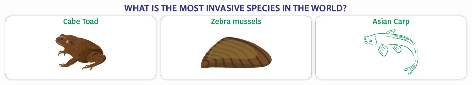 what is the most invasive species in the world