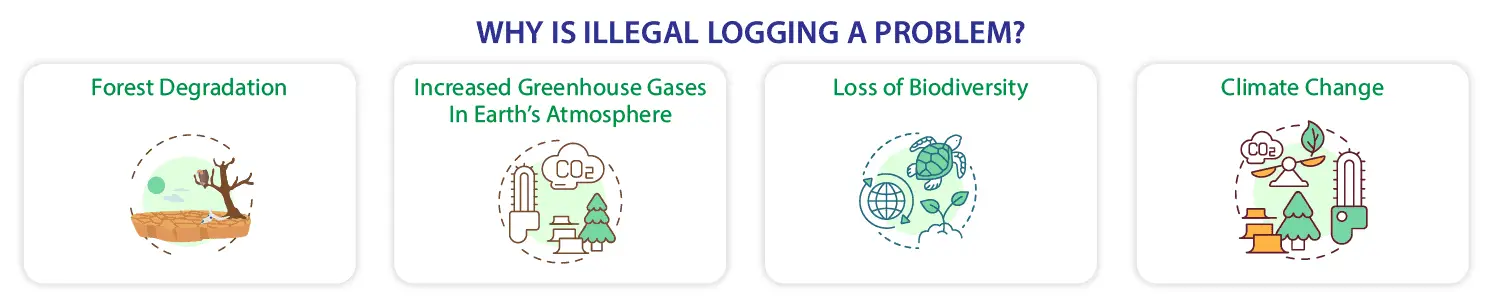 why is illegal logging a problem