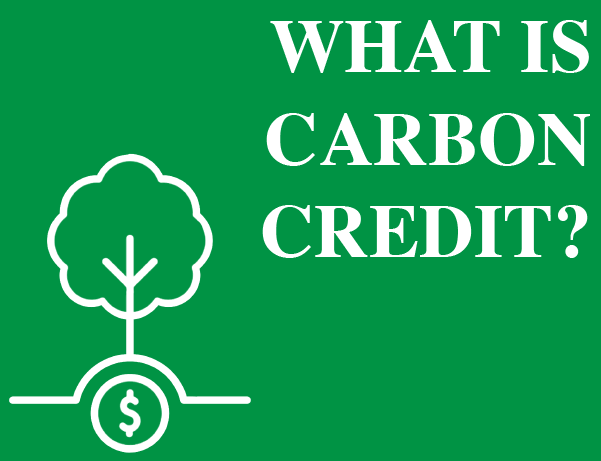 What is Carbon Credit