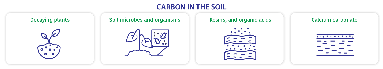 Carbon in the soil