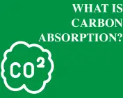 what is carbon absorption