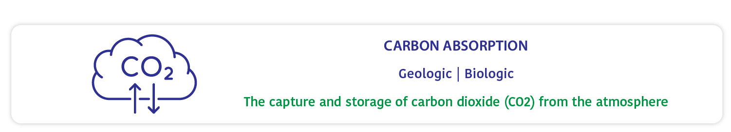 what is carbon banking