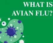 What's Avian Flu