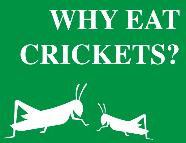 Eat crickets