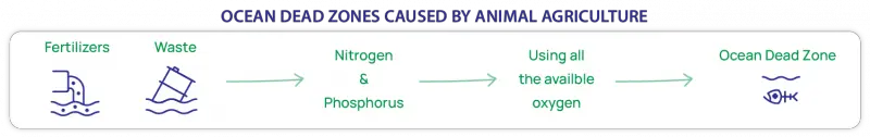 ocean-dead-zones-dynamic-earth-lesson-plans