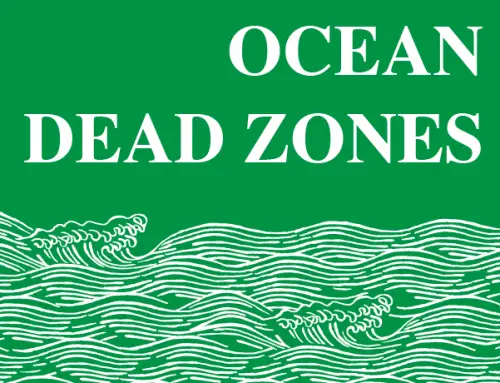 Ocean Dead Zones