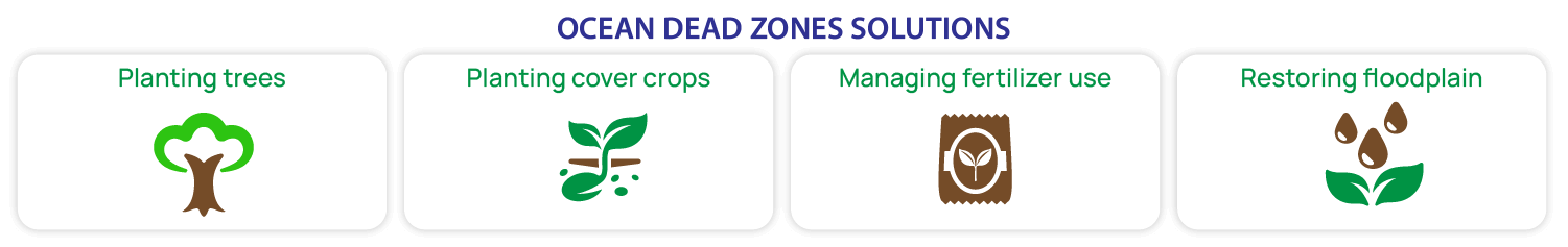 ocean dead zones solution