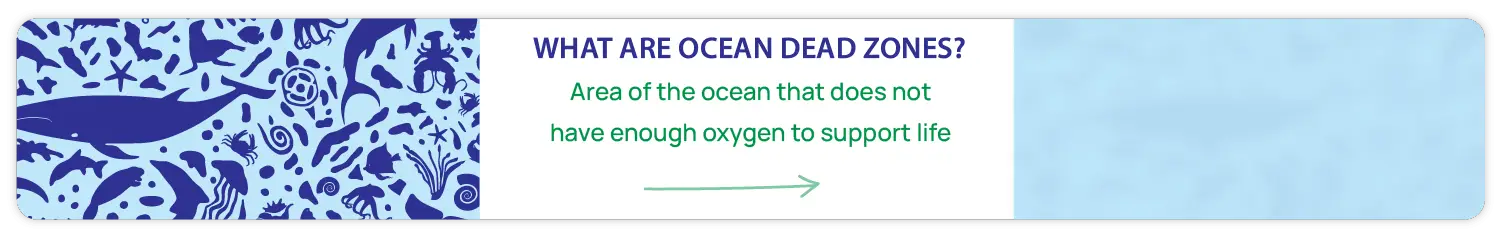 what are ocean dead zones